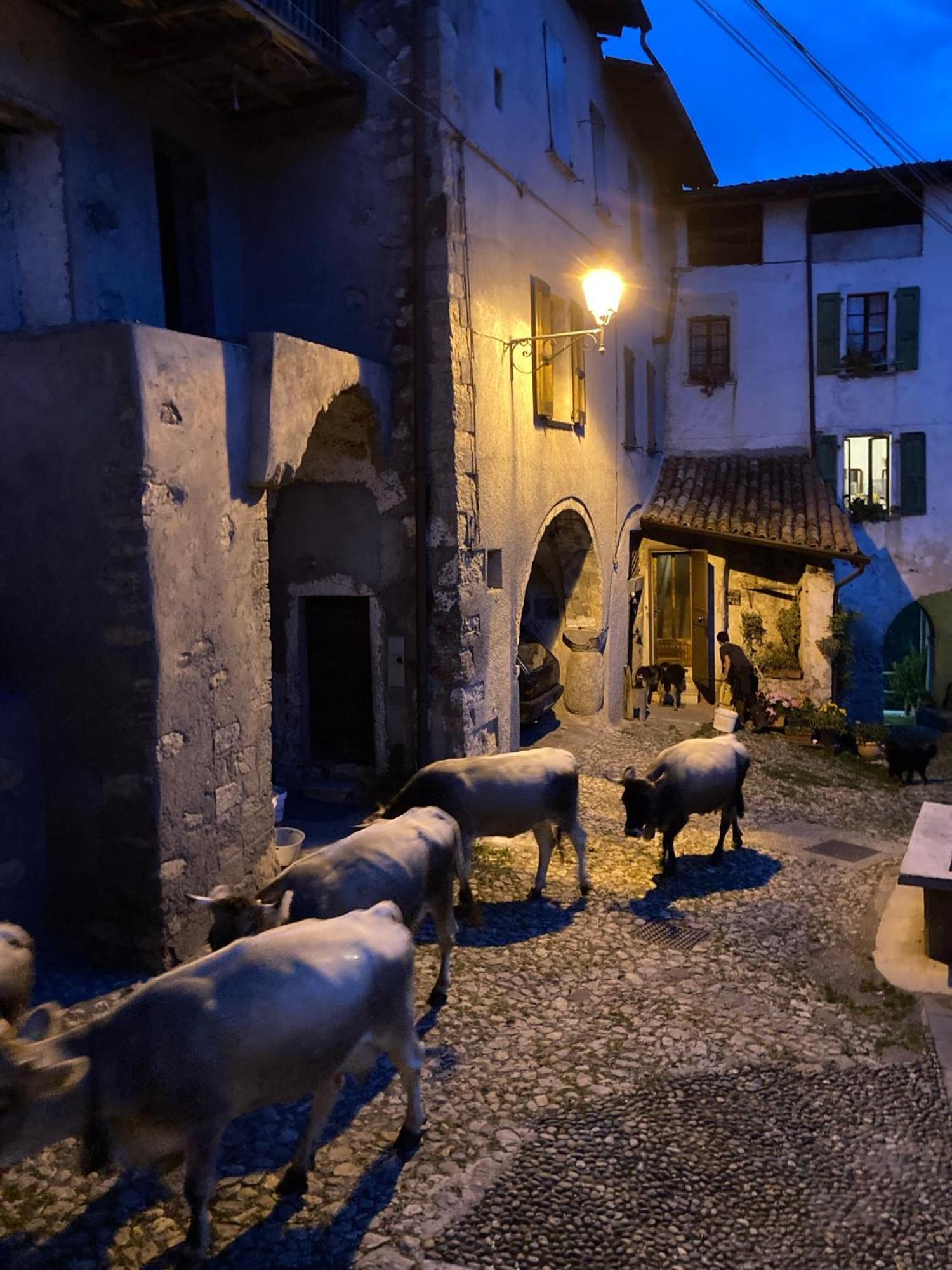 A Casa Di Gianni E Mari Bed & Breakfast Vestone Dış mekan fotoğraf
