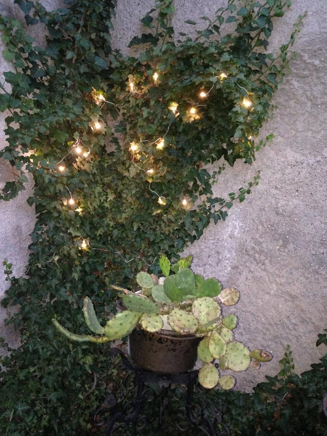 A Casa Di Gianni E Mari Bed & Breakfast Vestone Dış mekan fotoğraf