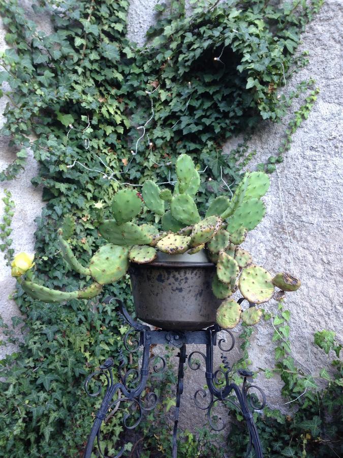 A Casa Di Gianni E Mari Bed & Breakfast Vestone Dış mekan fotoğraf