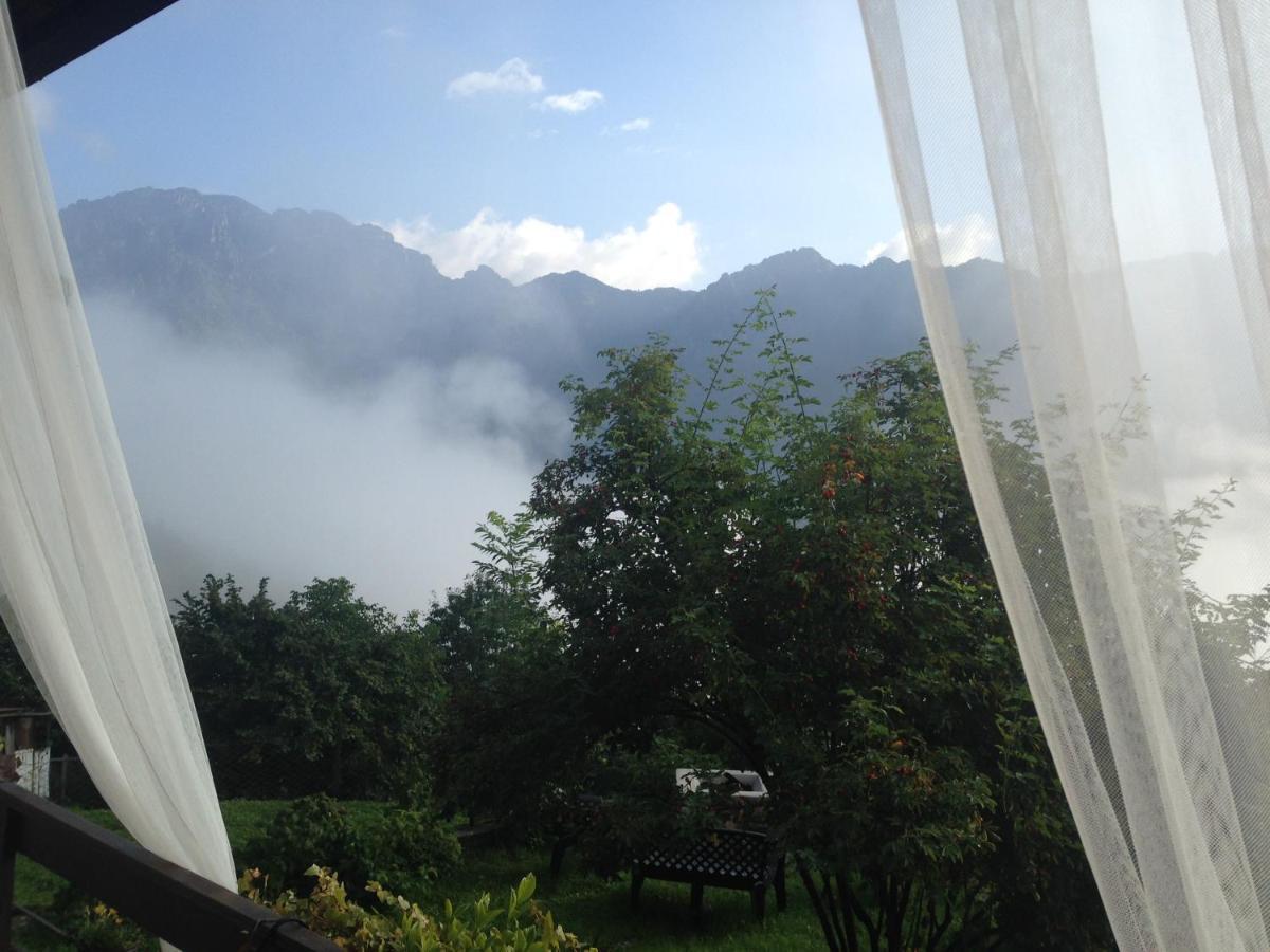 A Casa Di Gianni E Mari Bed & Breakfast Vestone Dış mekan fotoğraf